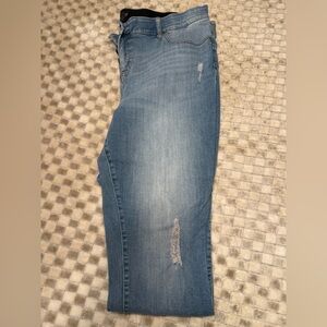 Torrid Jeans
